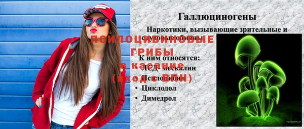 ешки Гусь-Хрустальный