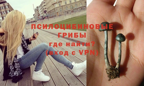 метадон Медногорск